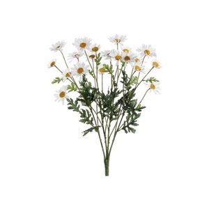 Meet your Posher, Renya